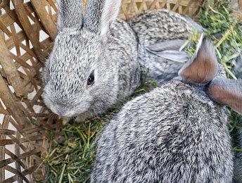 《天国：拯救 II》史低折扣来袭！ 中世纪史诗再临，入手正当时！